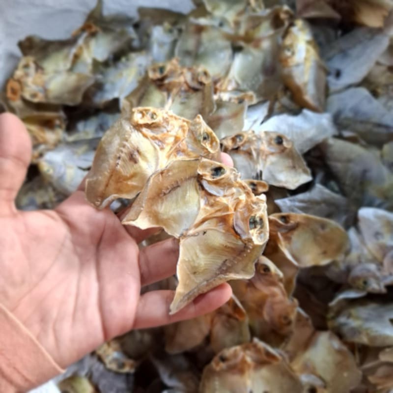 Dried Danggit_1
