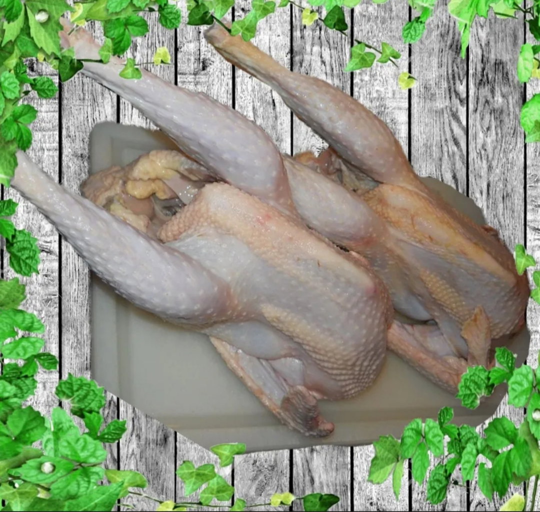 A- Ayam Tua 1.4kg
