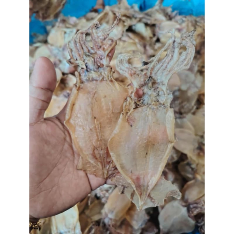 Dried Pusit_4