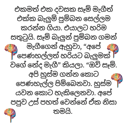 S18 - බැලුන් බැලුන් (පෙණහළු)