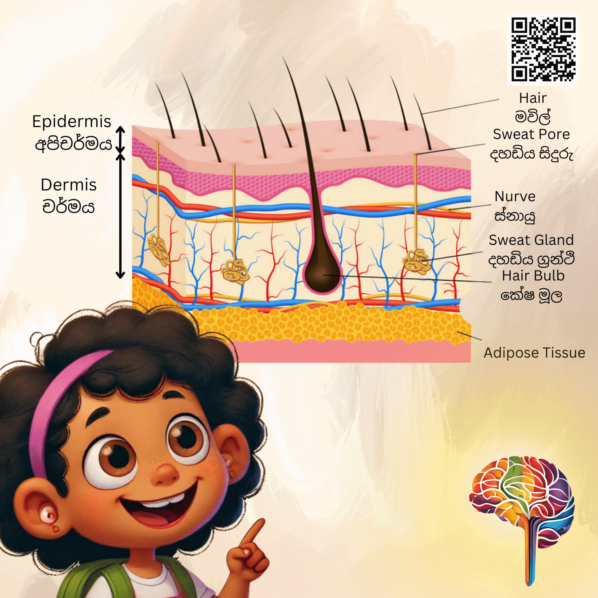 S20 - සෑම්ගේ තුවාලය (සම)_2