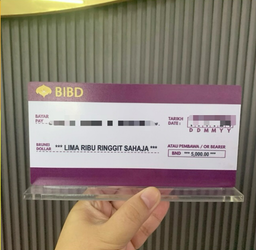 Acrylic Mock-up Cheque