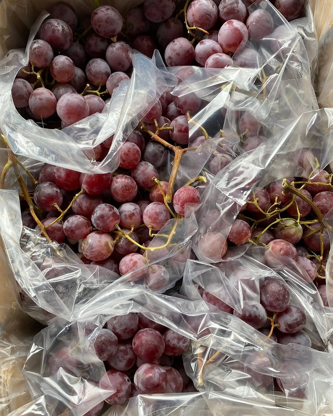 We deliver the best hand-picked Local and Exotic Fresh Fruits, Vegetables and Household Groceries in Lagos._2