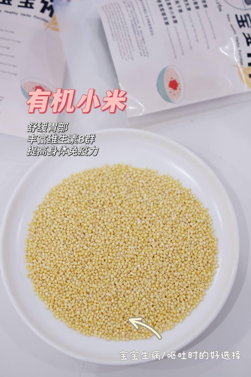 *Bundle Deal* Baby Porridge 宝宝粥优惠 (6M+)_9