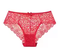 Culotte Creuse en dentelle transparente _1