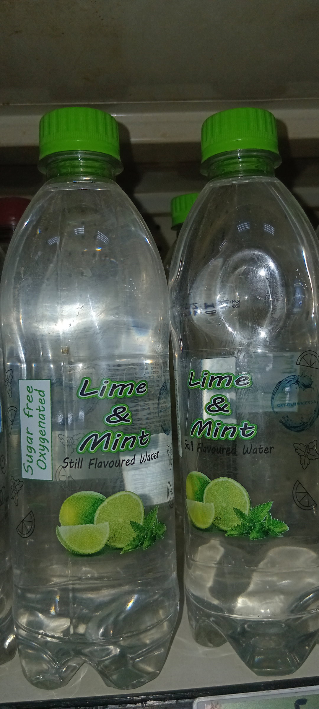Oxygen Lime & Mint Flav. Water S/F 500ml