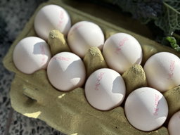 Biologische Eieren (10 stuks)