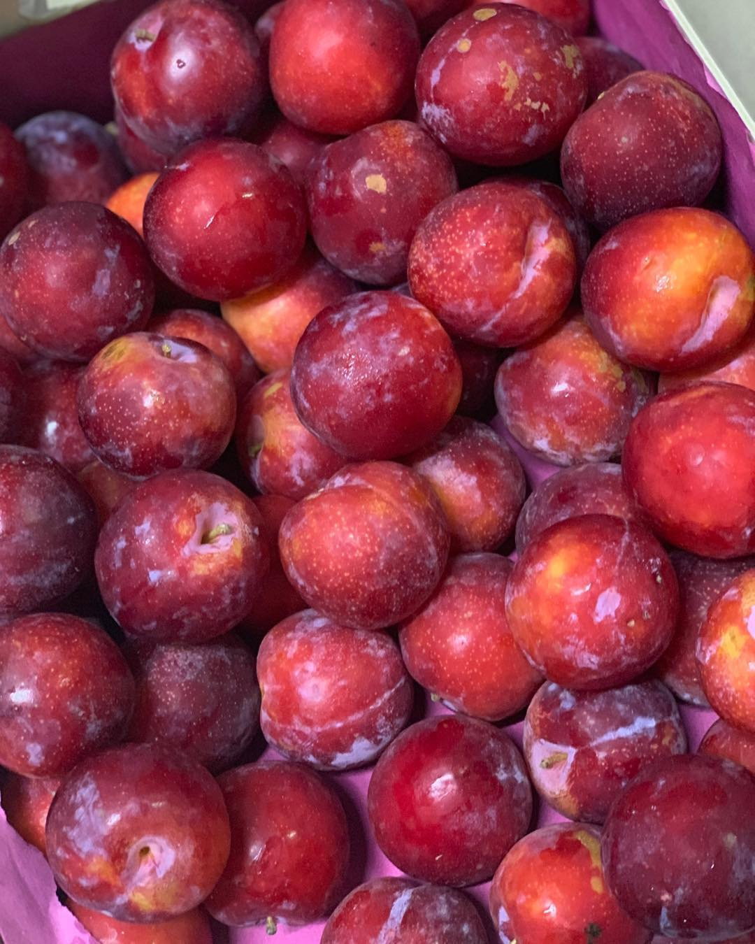 Plums  3pcs_0