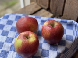 Elstar Appels