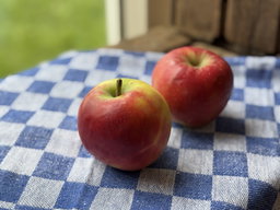 Elstar Appels