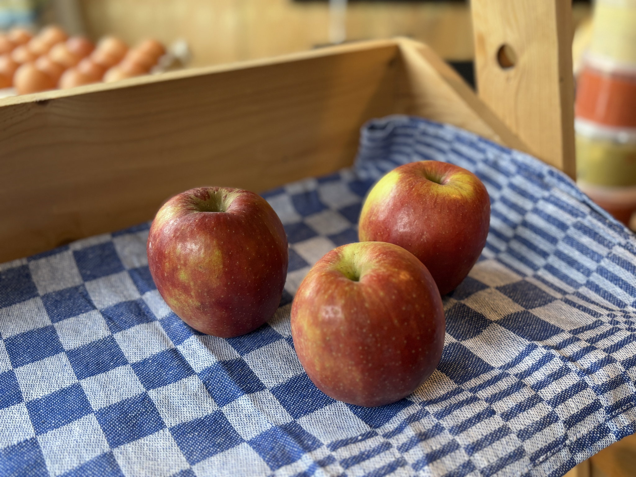 Jonagold Appels_1