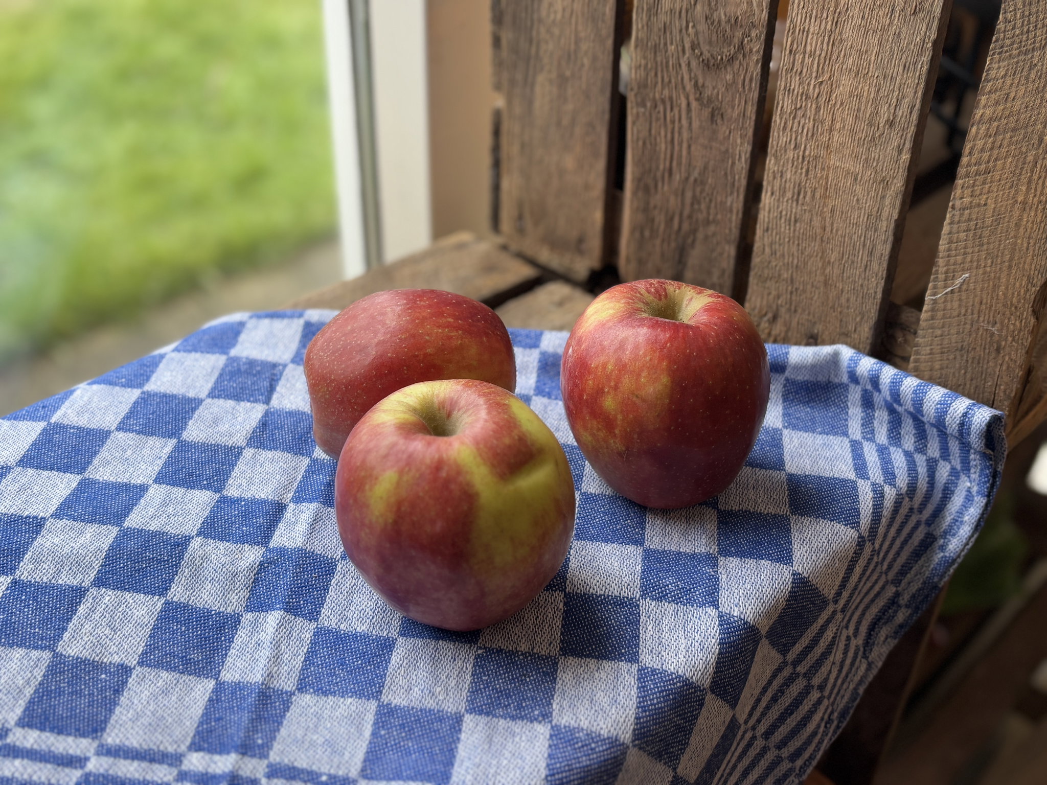Jonagold Appels_2