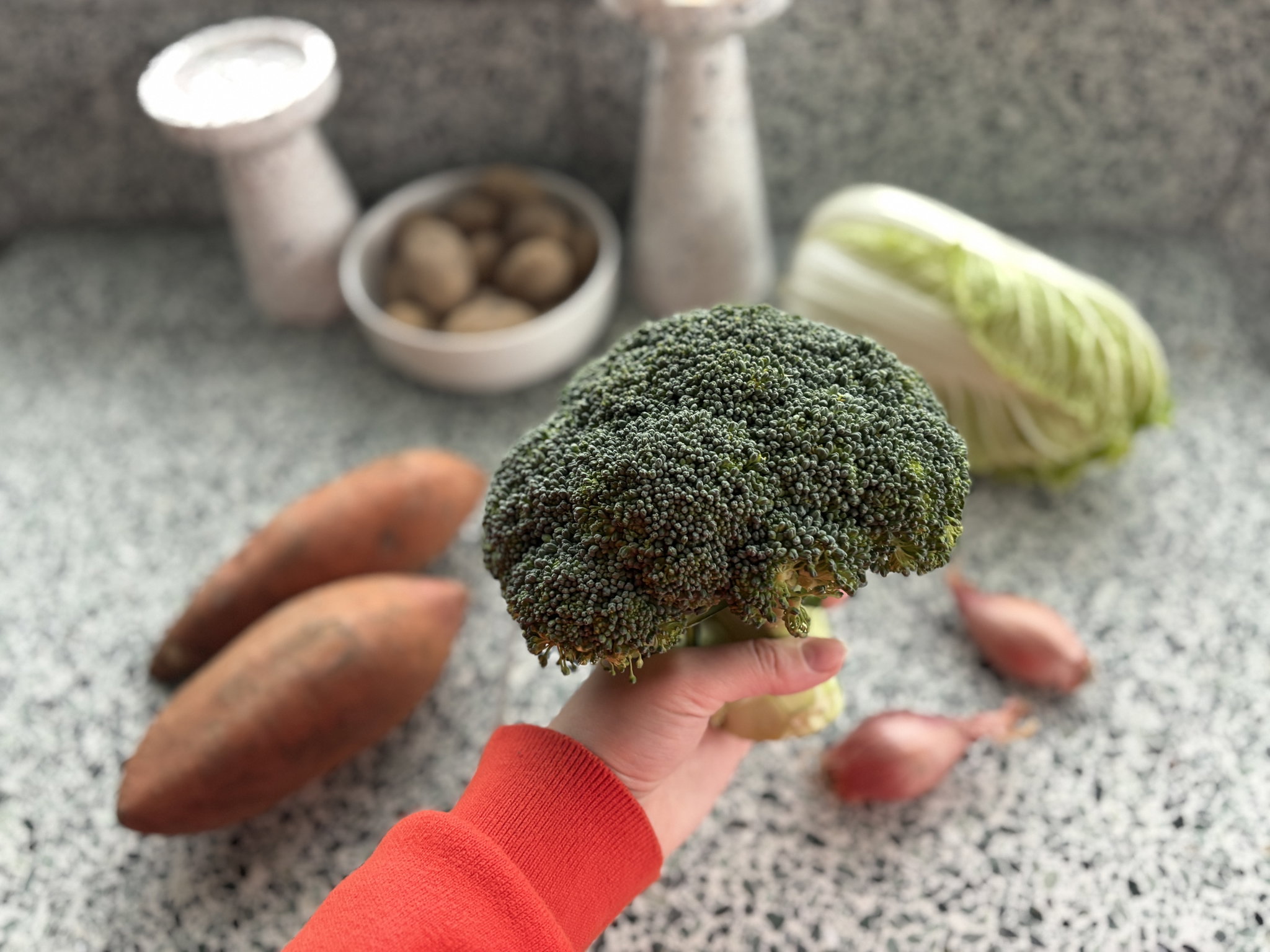 Broccoli Bio_2