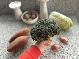 Broccoli Bio