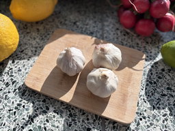 Knoflook Bio