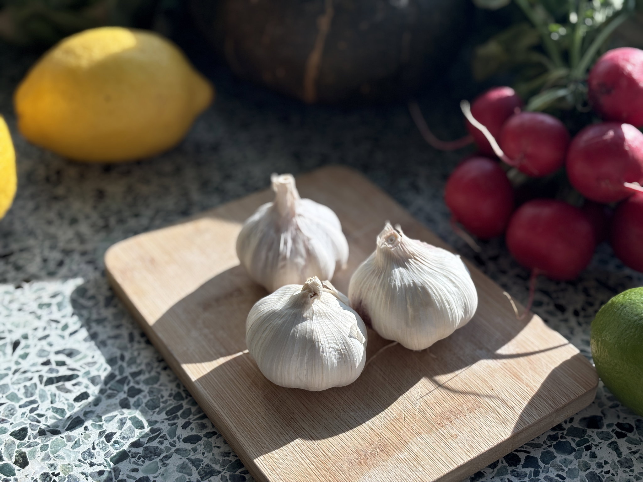 Knoflook Bio_0