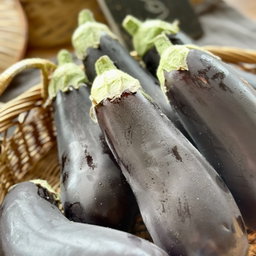 Aubergine Bio