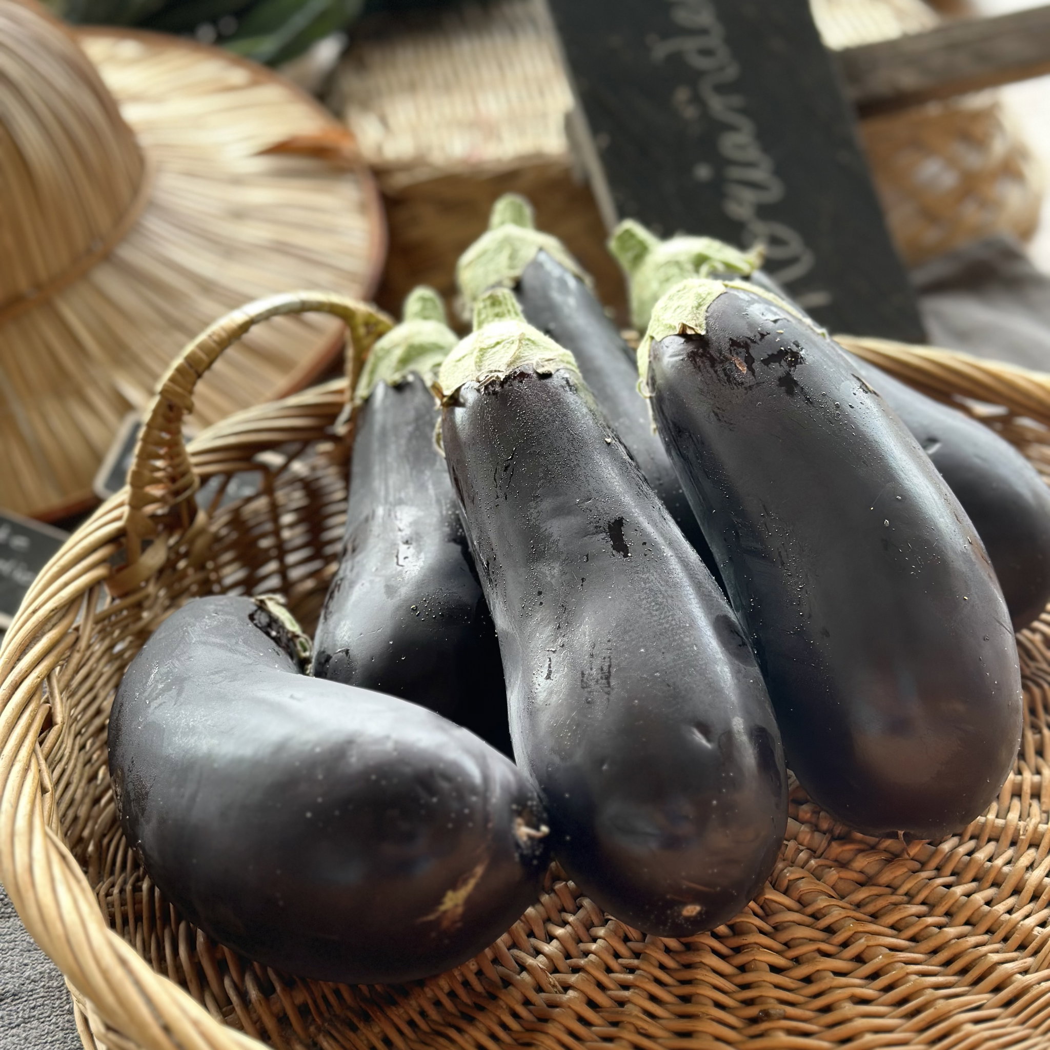 Aubergine Bio_0