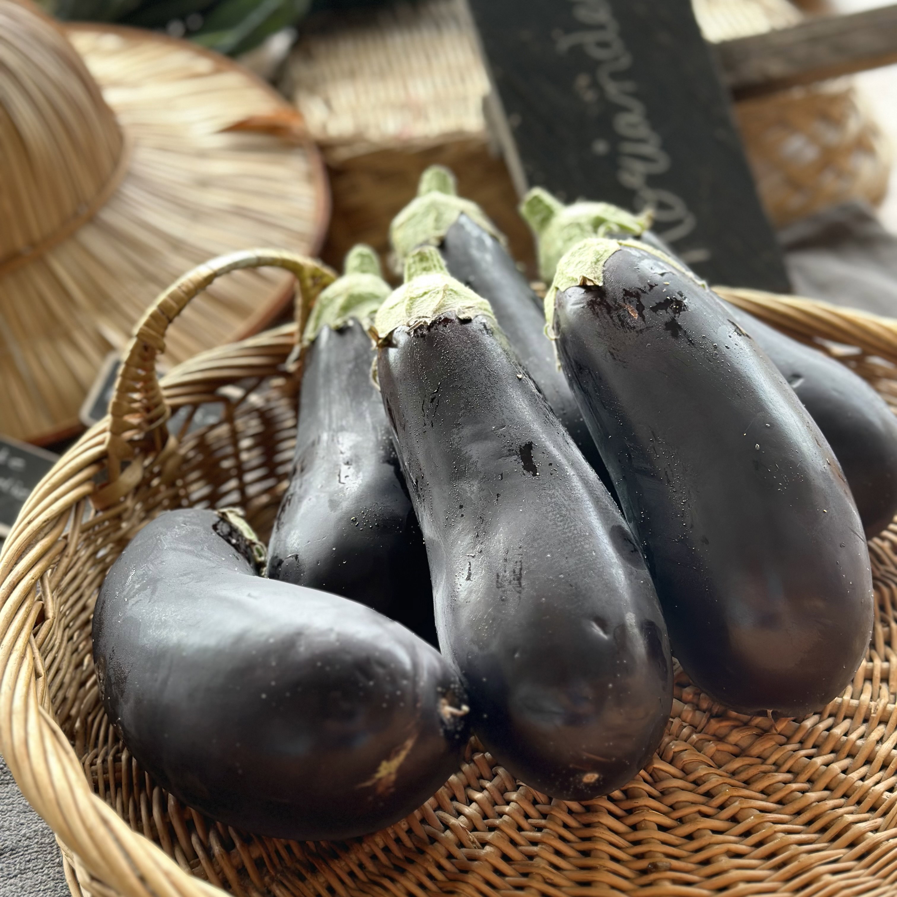 Aubergine Bio