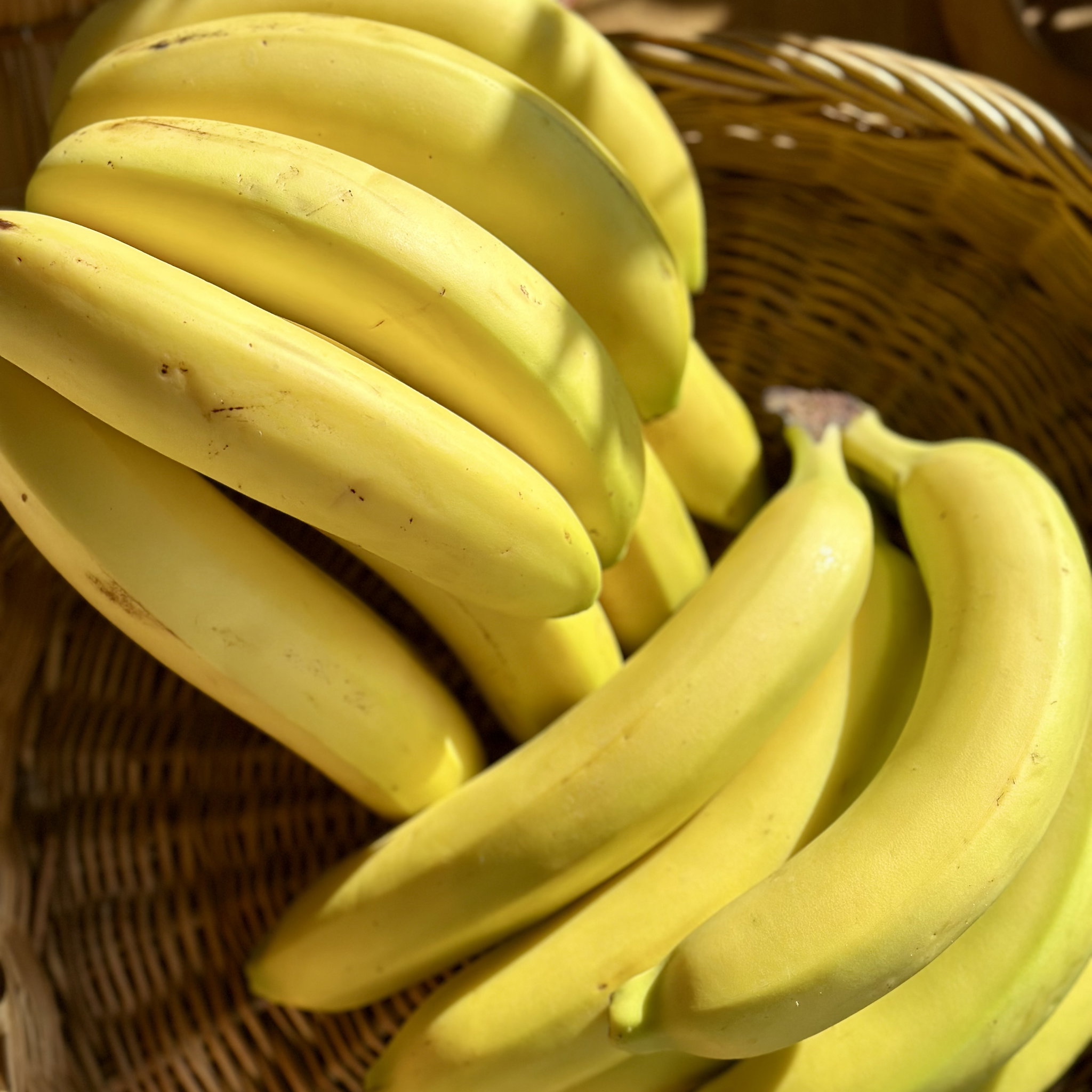 Banaan Bio_1