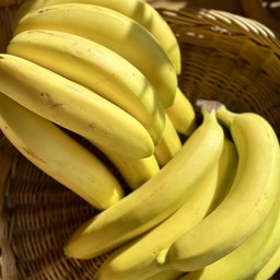 Banaan Bio