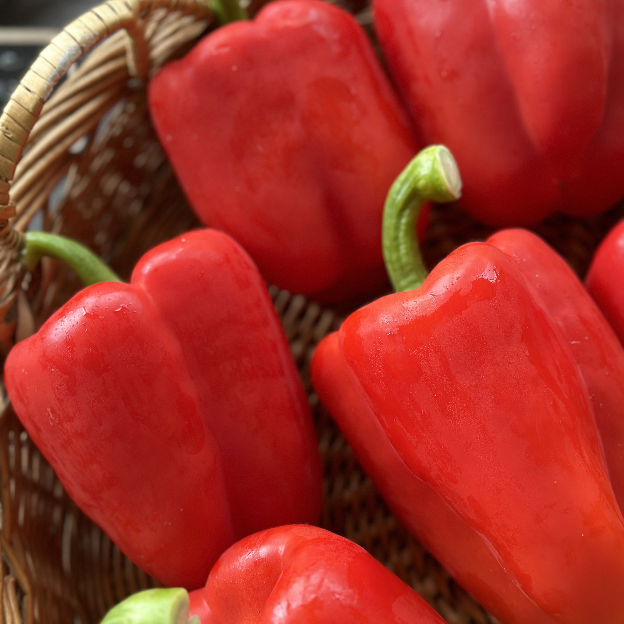 Paprika Rood Bio_2