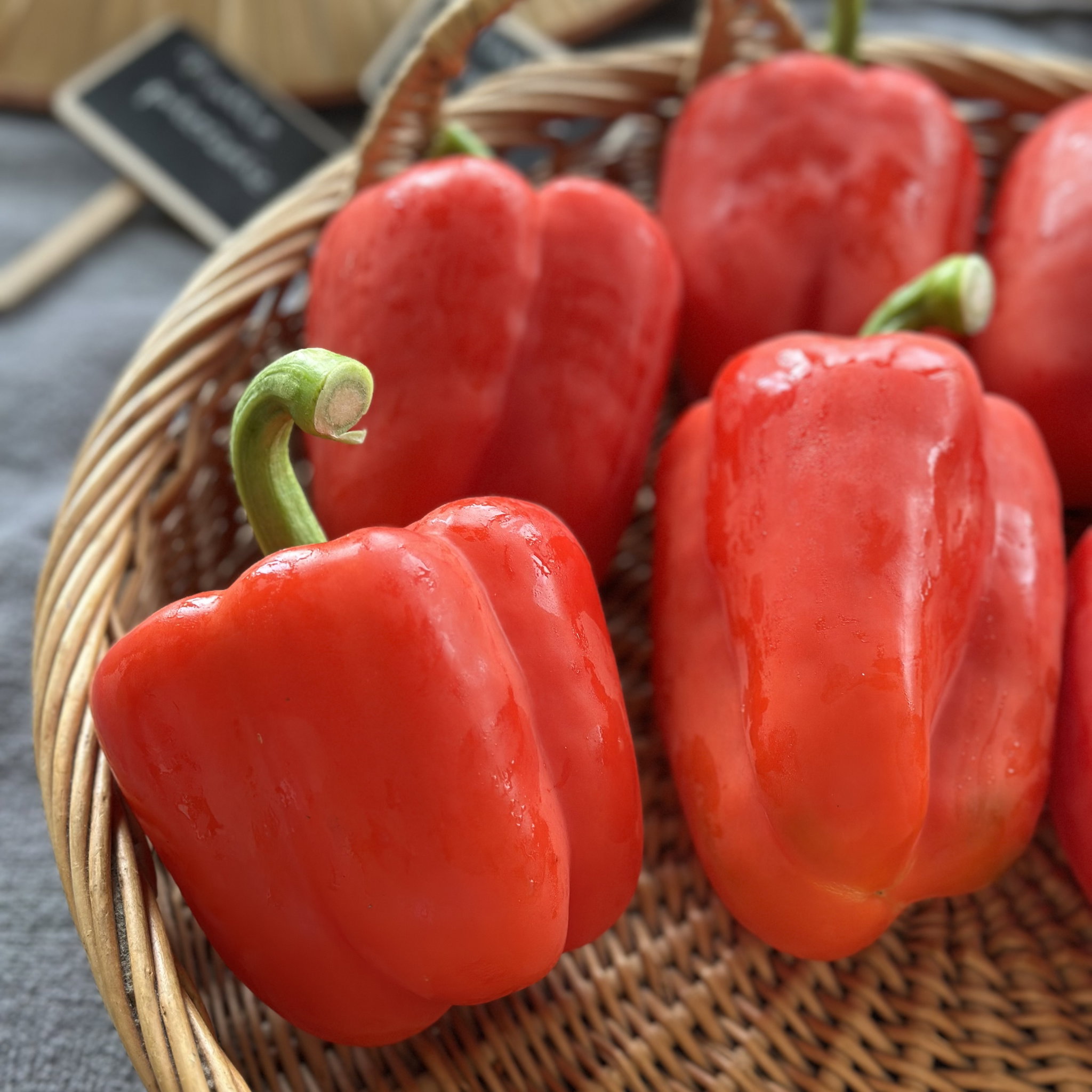 Paprika Rood Bio_0