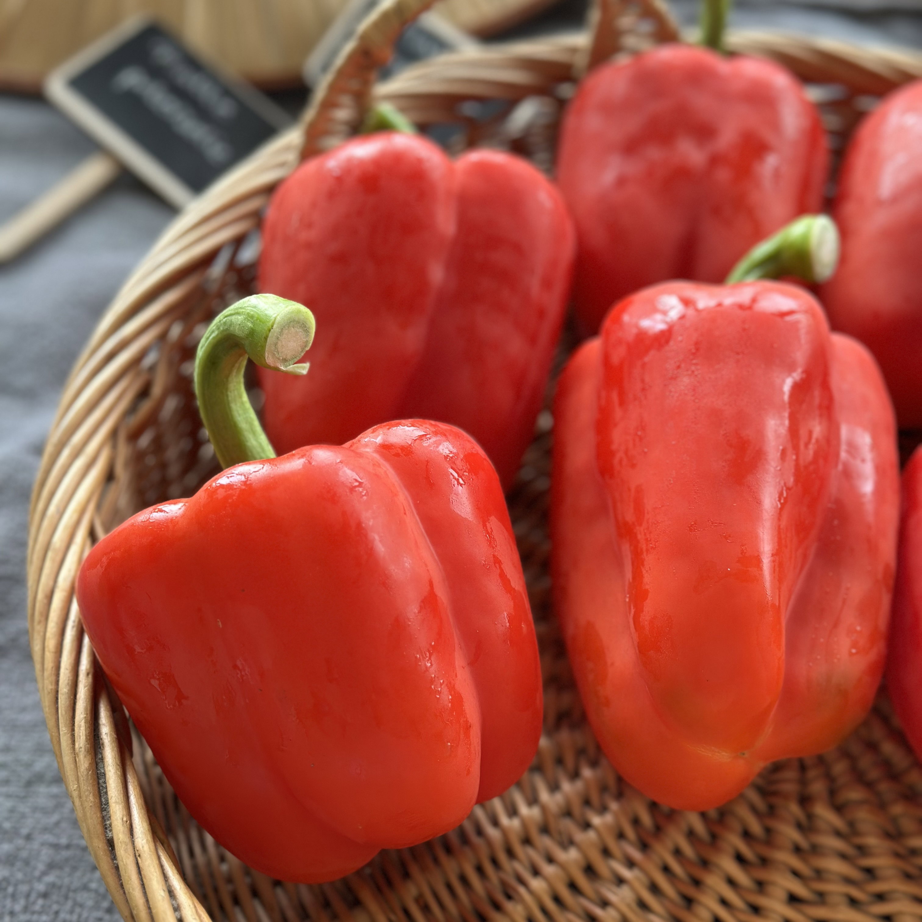 Paprika Rood Bio