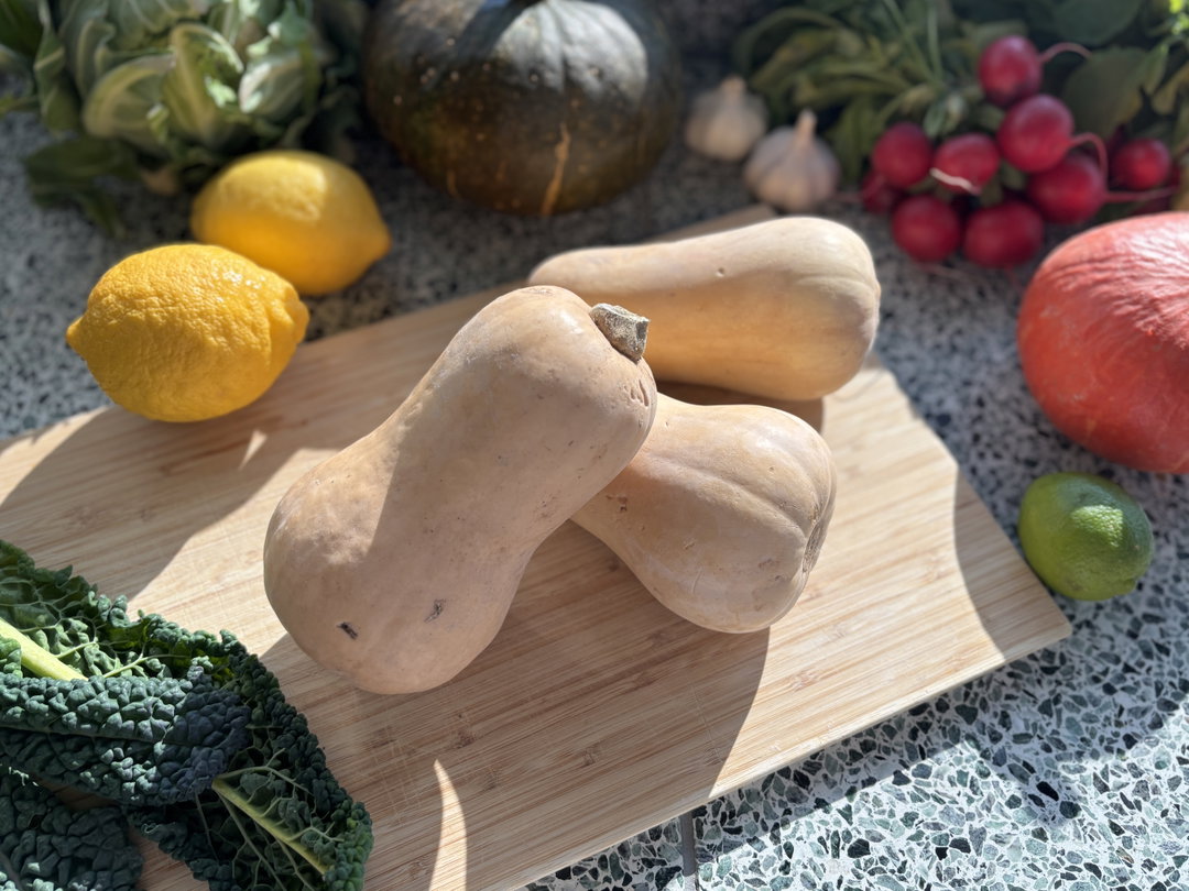 Flespompoen Butternut Bio