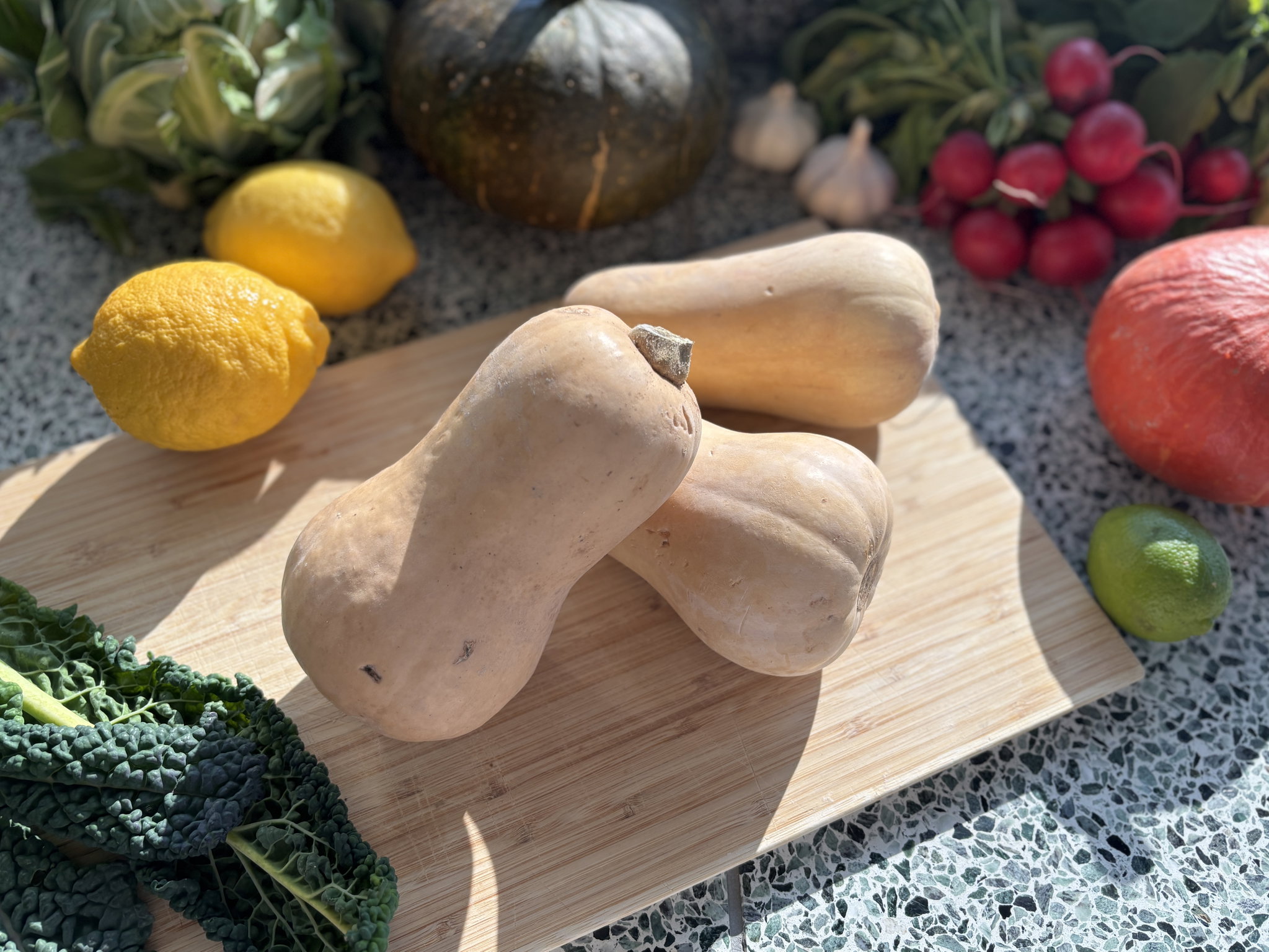Flespompoen Butternut Bio_0