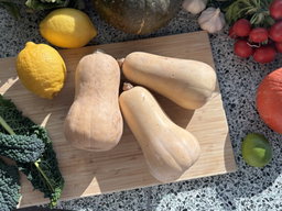 Flespompoen Butternut Bio