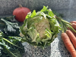 Bloemkool