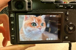 Fuji X100T Black (SG Local Stock)