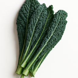 Dinosaur Kale 1.5 lb / Kale Dinosaurio 1.5 lb