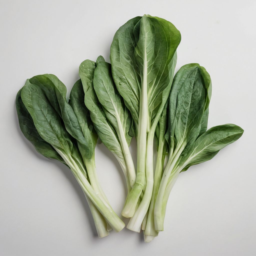Bok Choy per lb / Bok Choy _0