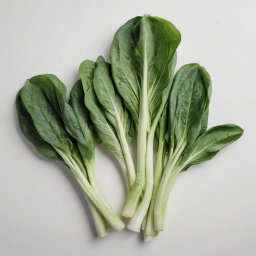 Bok Choy per lb / Bok Choy 
