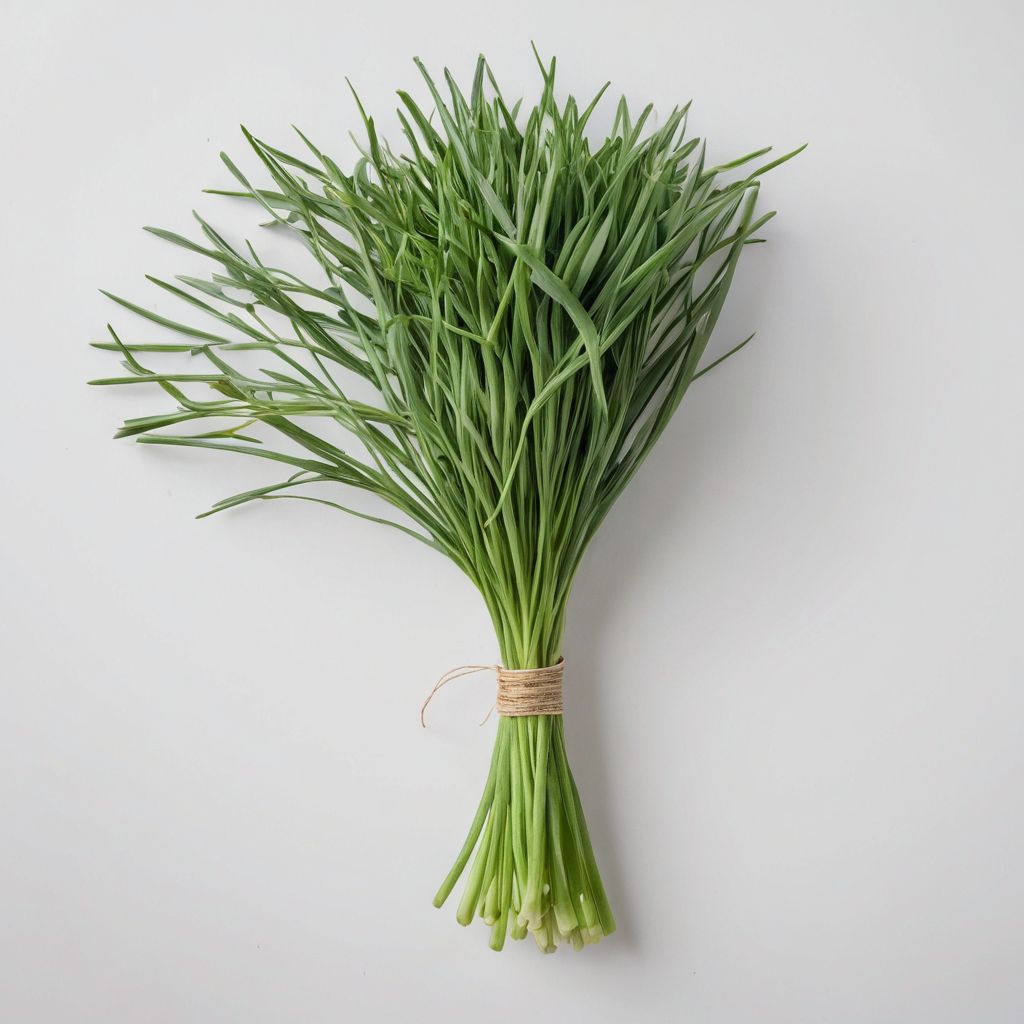 Garlic Chives per pack / Cebollinos de Ajo por paquete_0