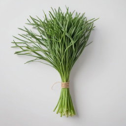 Garlic Chives per pack / Cebollinos de Ajo por paquete