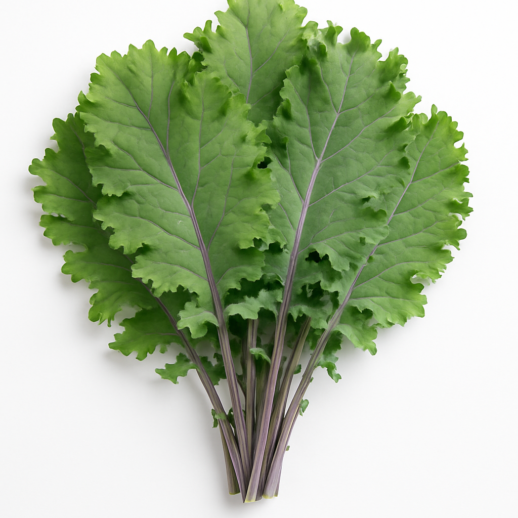 Russian Kale 1.5 / Kale Ruso 1.5 lb_0