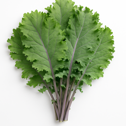 Russian Kale 1.5 / Kale Ruso 1.5 lb