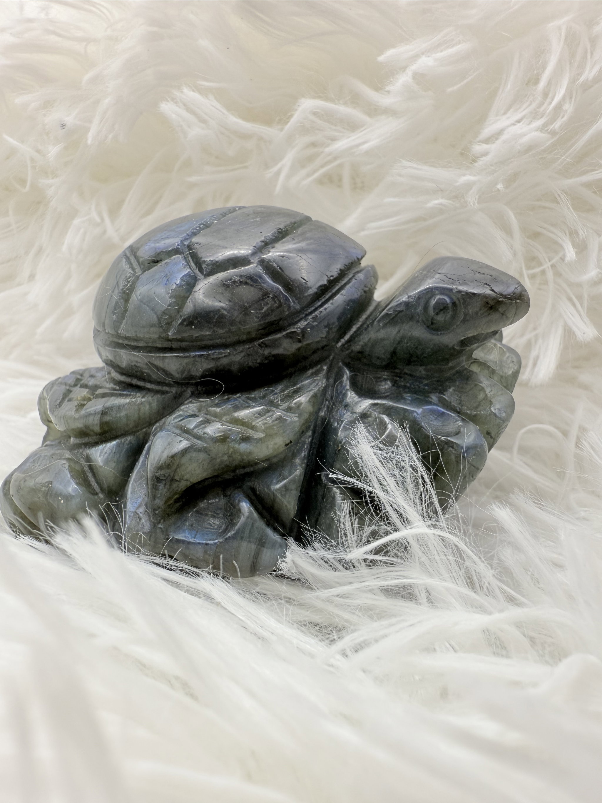 Labradorite Turtle_2