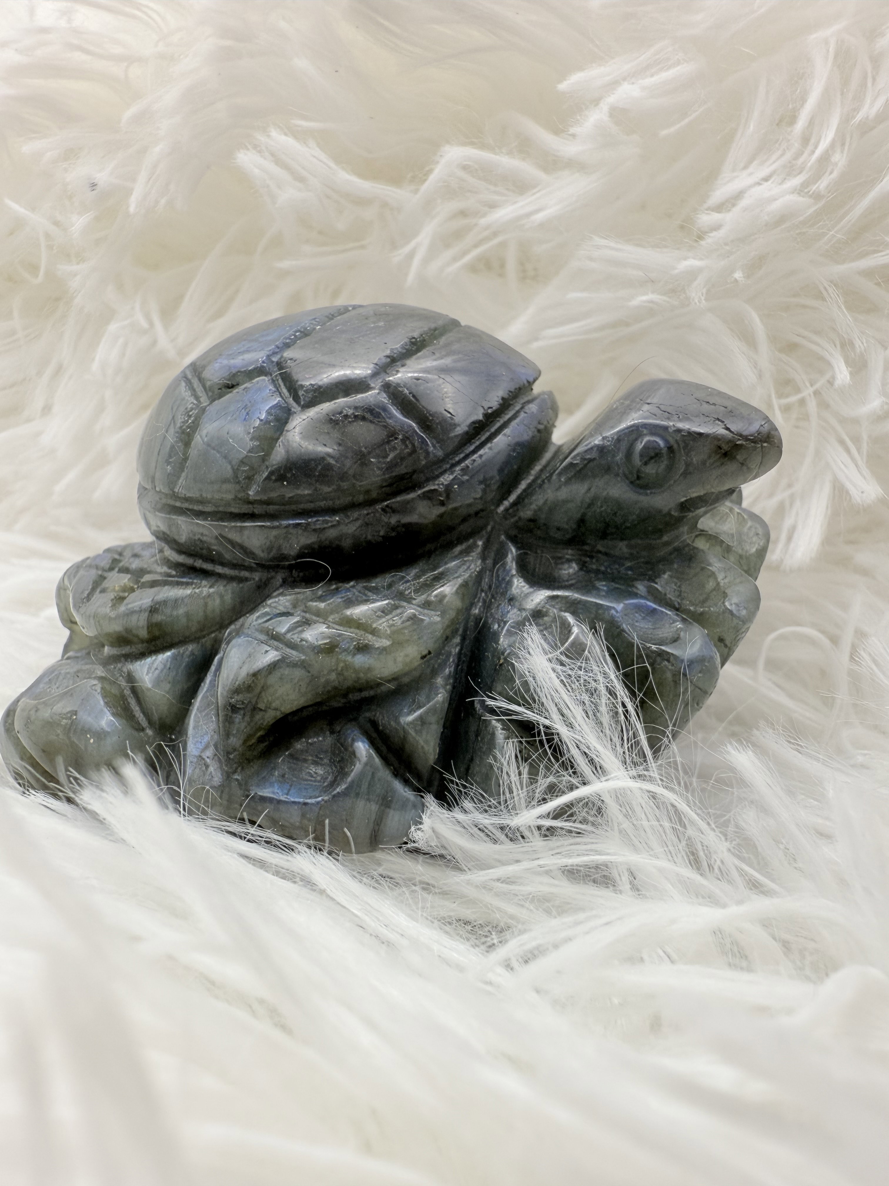 Labradorite Turtle_2