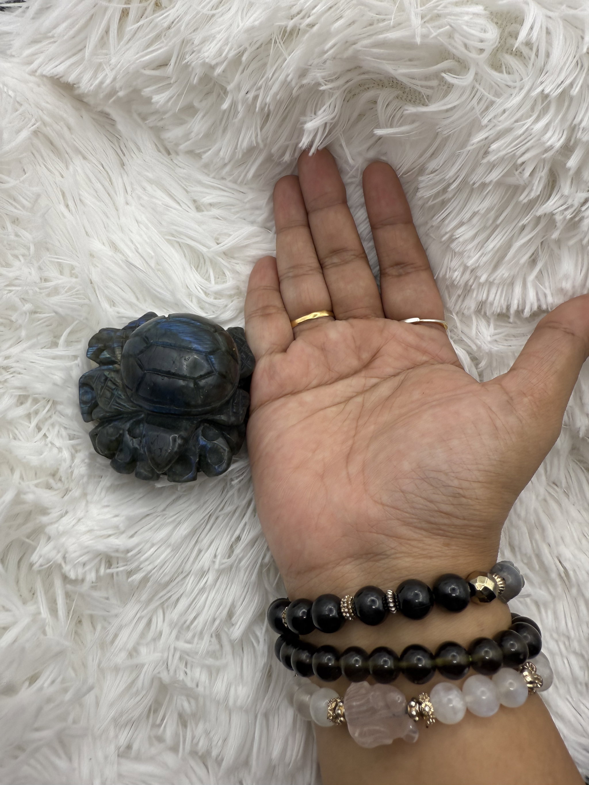 Labradorite Turtle_1