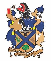 Chiredzi Town Council