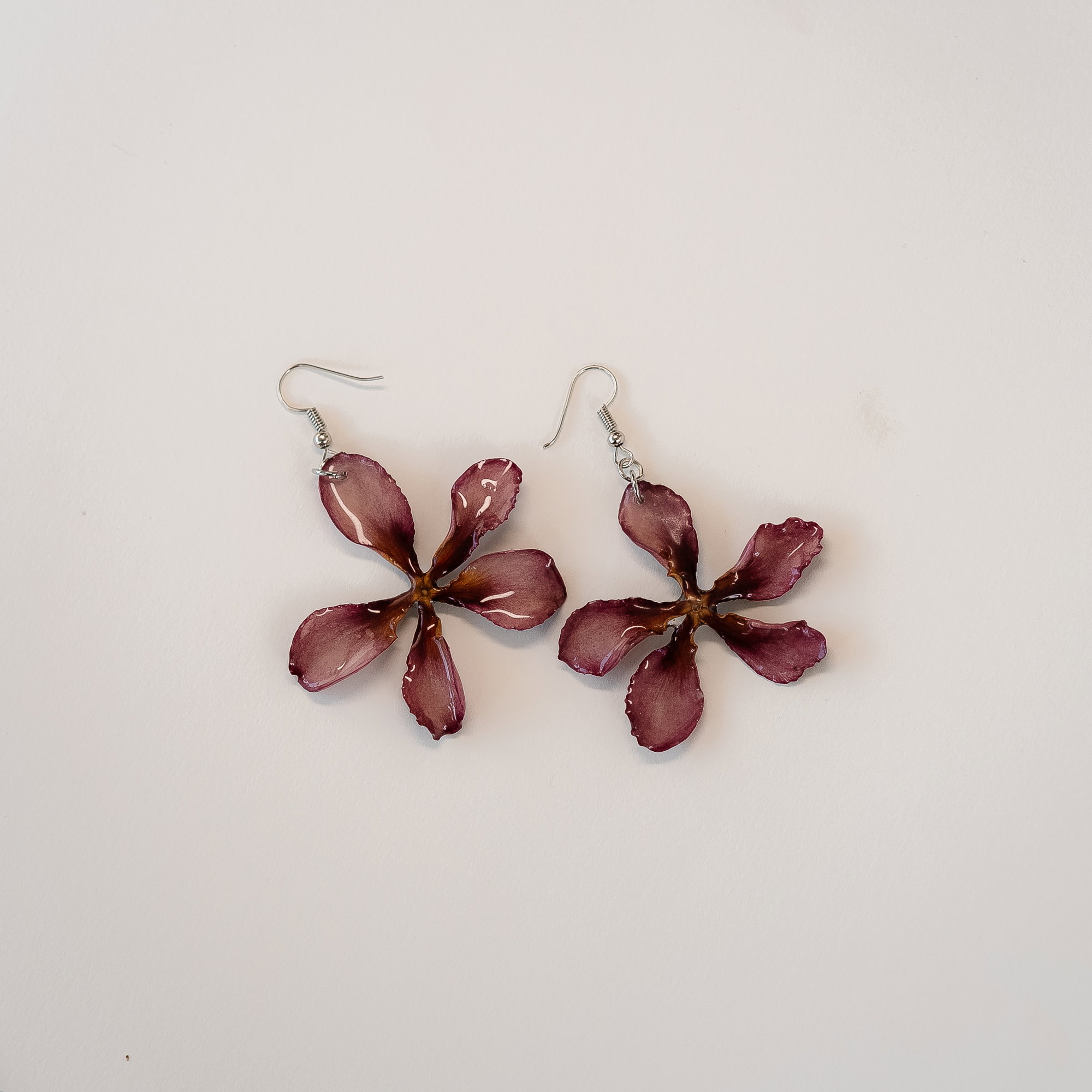 Purple Frangipani_0