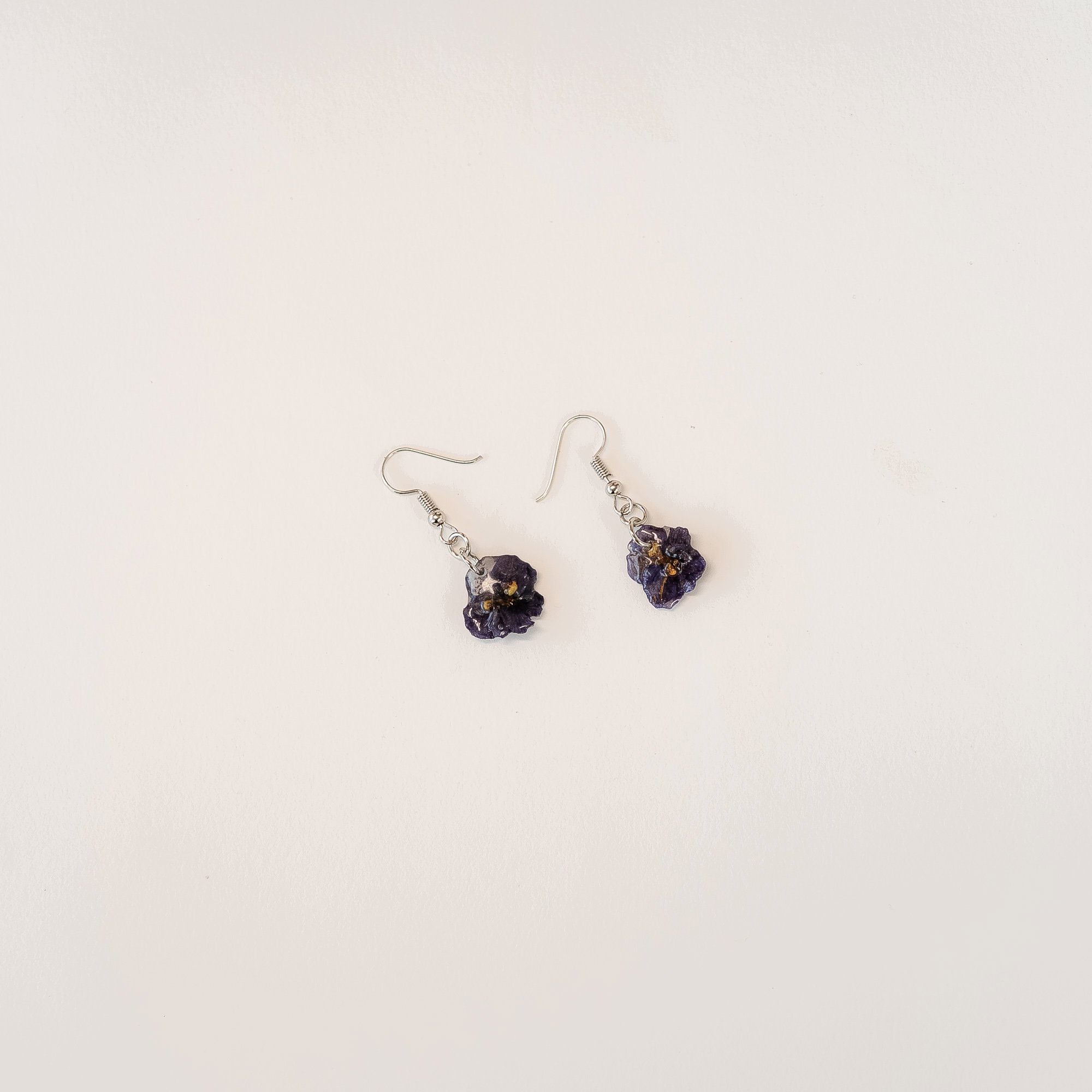 Dark Blue African Violet_1