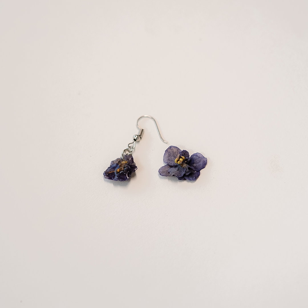 Dark Blue African Violet