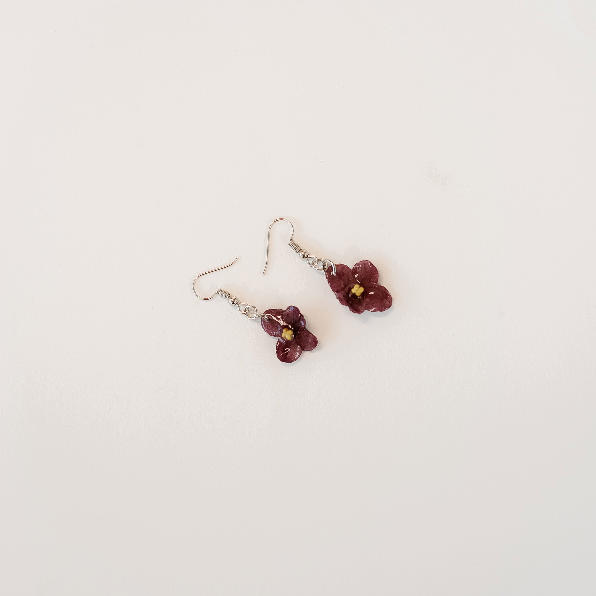 Purple African Violet_1