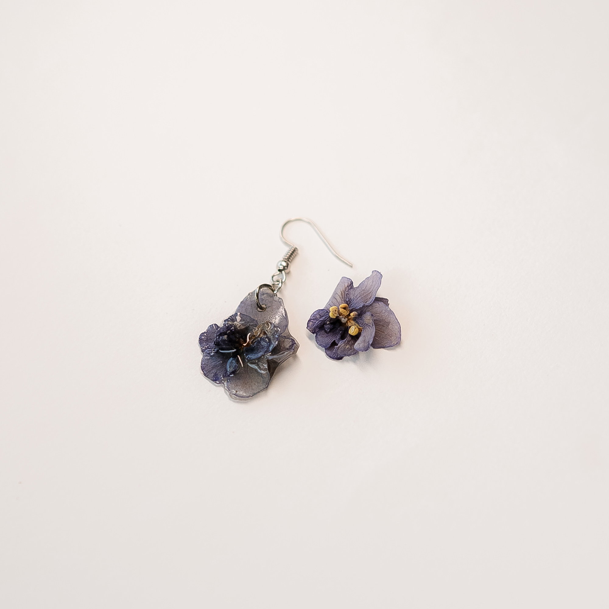 Light Blue African Violet_0