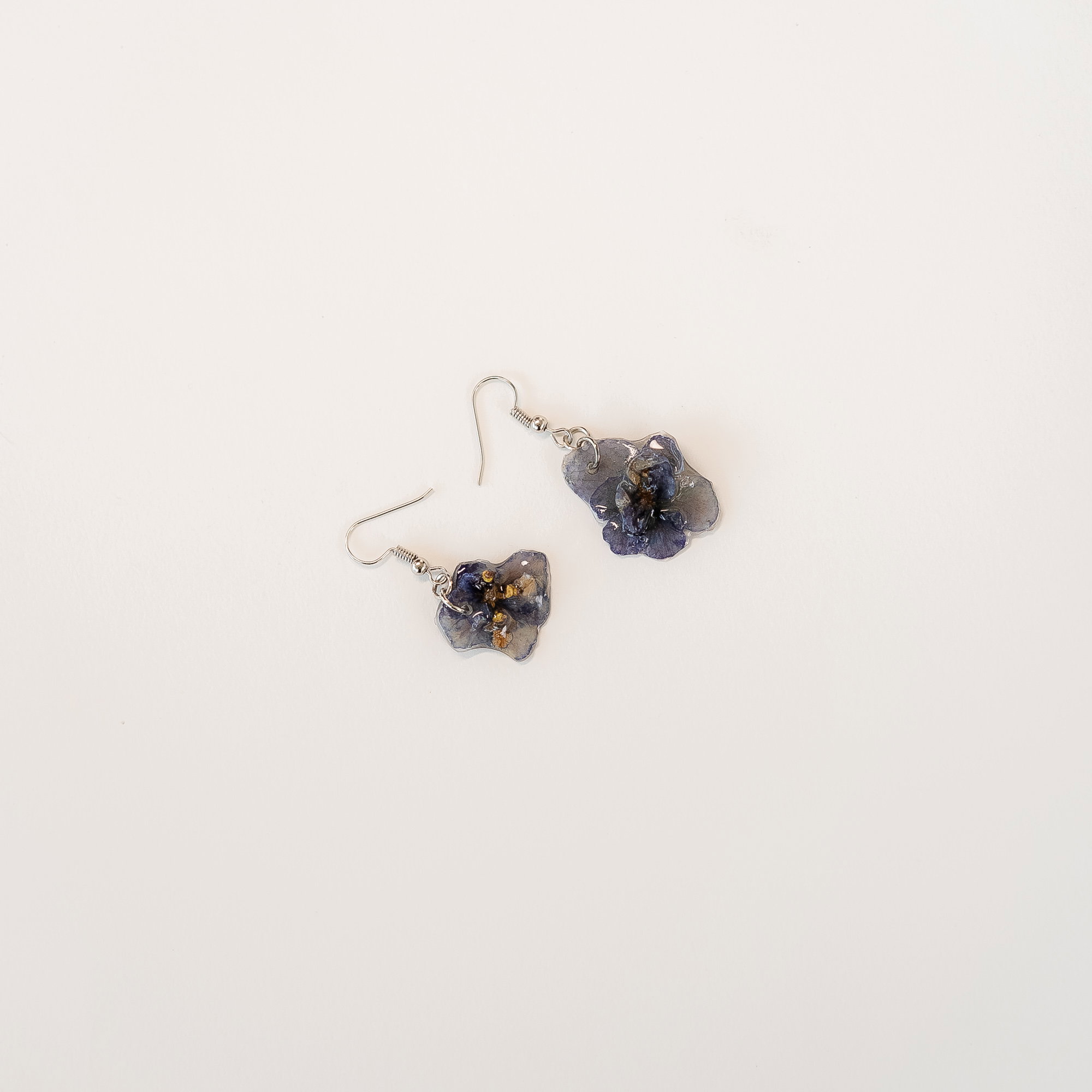 Light Blue African Violet_1